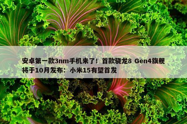 安卓第一款3nm手机来了！首款骁龙8 Gen4旗舰将于10月发布：小米15有望首发