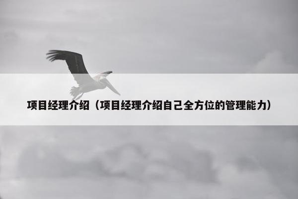 项目经理介绍（项目经理介绍自己全方位的管理能力）