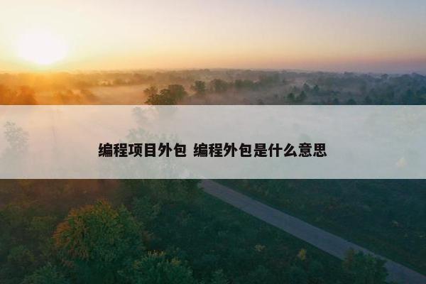 编程项目外包 编程外包是什么意思