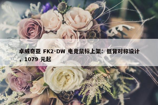 卓威奇亚 FK2-DW 电竞鼠标上架：低背对称设计，1079 元起