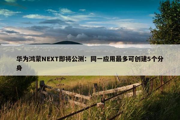 华为鸿蒙NEXT即将公测：同一应用最多可创建5个分身